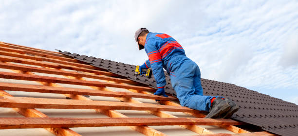 Best Storm Damage Roof Repair  in Yale, MI